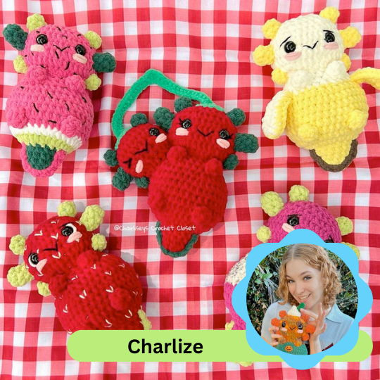 Handmade crochet items to raise money for Charlize's service dog